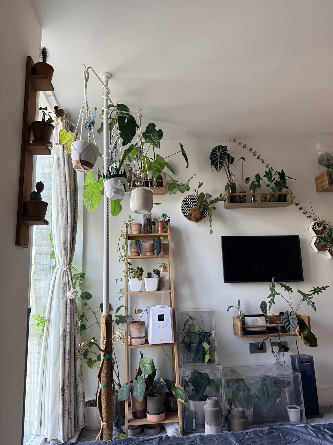 Vik’s bedroom with plants on shelves, hanging from a central pole and growing in humidity chambers
