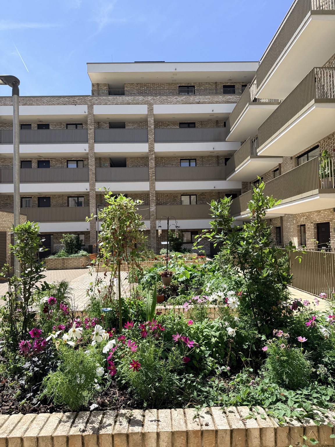 The shared courtyard garden with flowers and vegetables between apartment buildings